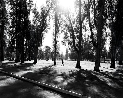 A person walking calmly through a city park in the morning